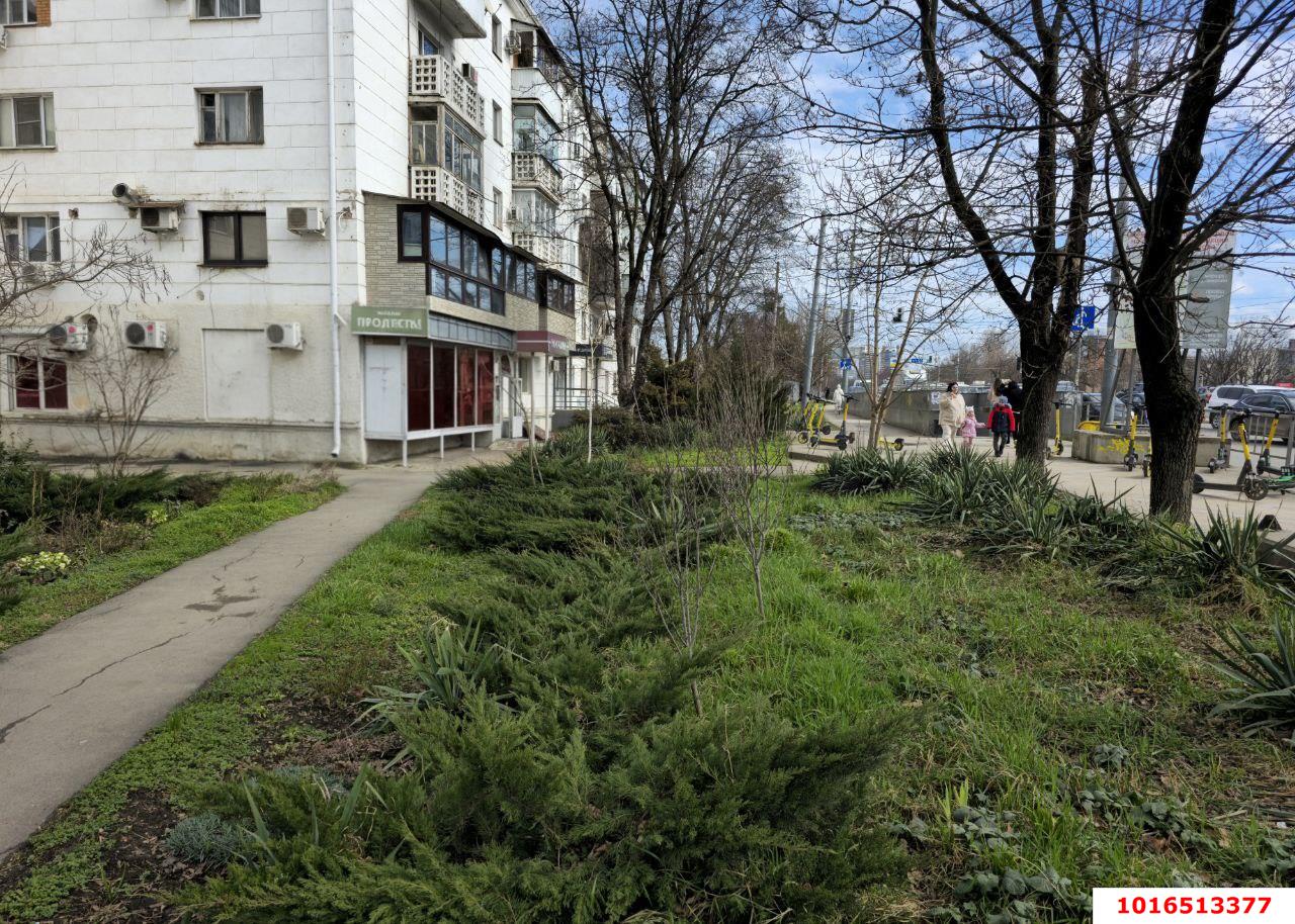 Фото №1: Коммерция 162 м² - Краснодар, мкр. Западный внутригородской округ, ул. Офицерская, 45