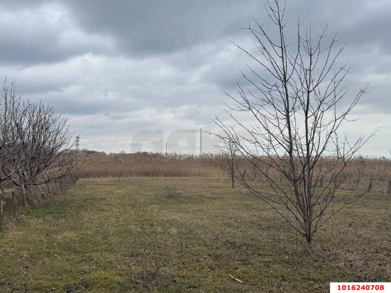 Фото №18: Дом 47 м² + 33 сот. - Старощербиновская, ул. Урицкого, 16