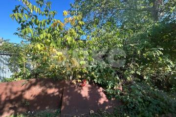 Фото №4: Участок садоводство - Армавир, мкр. 1-е Отделение, ул. Тенистая, 717