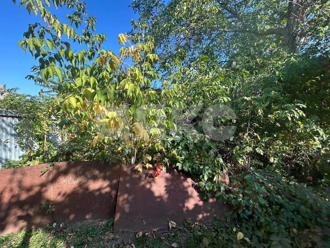 Фото №4: Участок садоводство 6 сот. - Армавир, мкр. 1-е Отделение, ул. Тенистая, 717