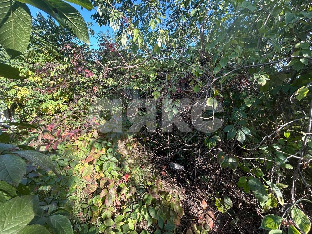 Фото №3: Участок садоводство 6 сот. - Армавир, мкр. 1-е Отделение, ул. Тенистая, 717