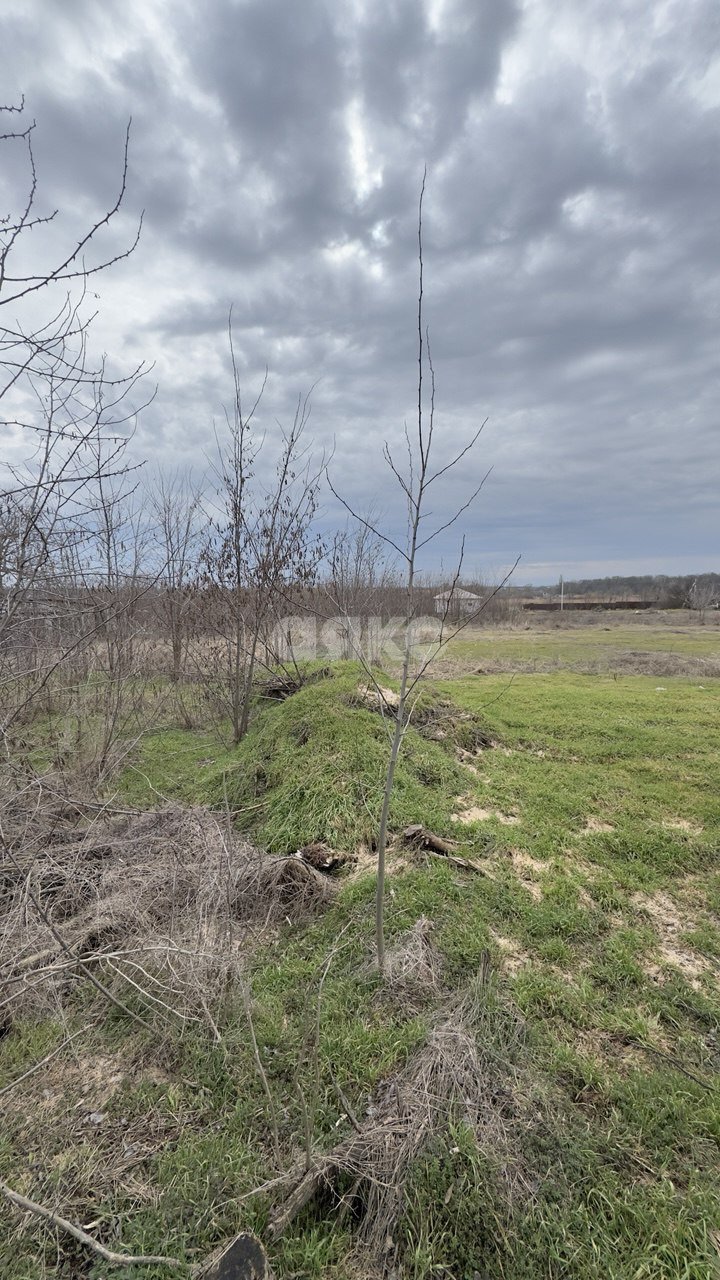 Фото №3: Земельный участок под ИЖС 7.97 сот. - Казачий, ул. Заречная