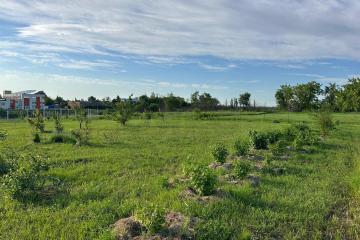 Фото №5: Земельный участок 7.29 сот. - Энем, ул. 68-й Морской Бригады