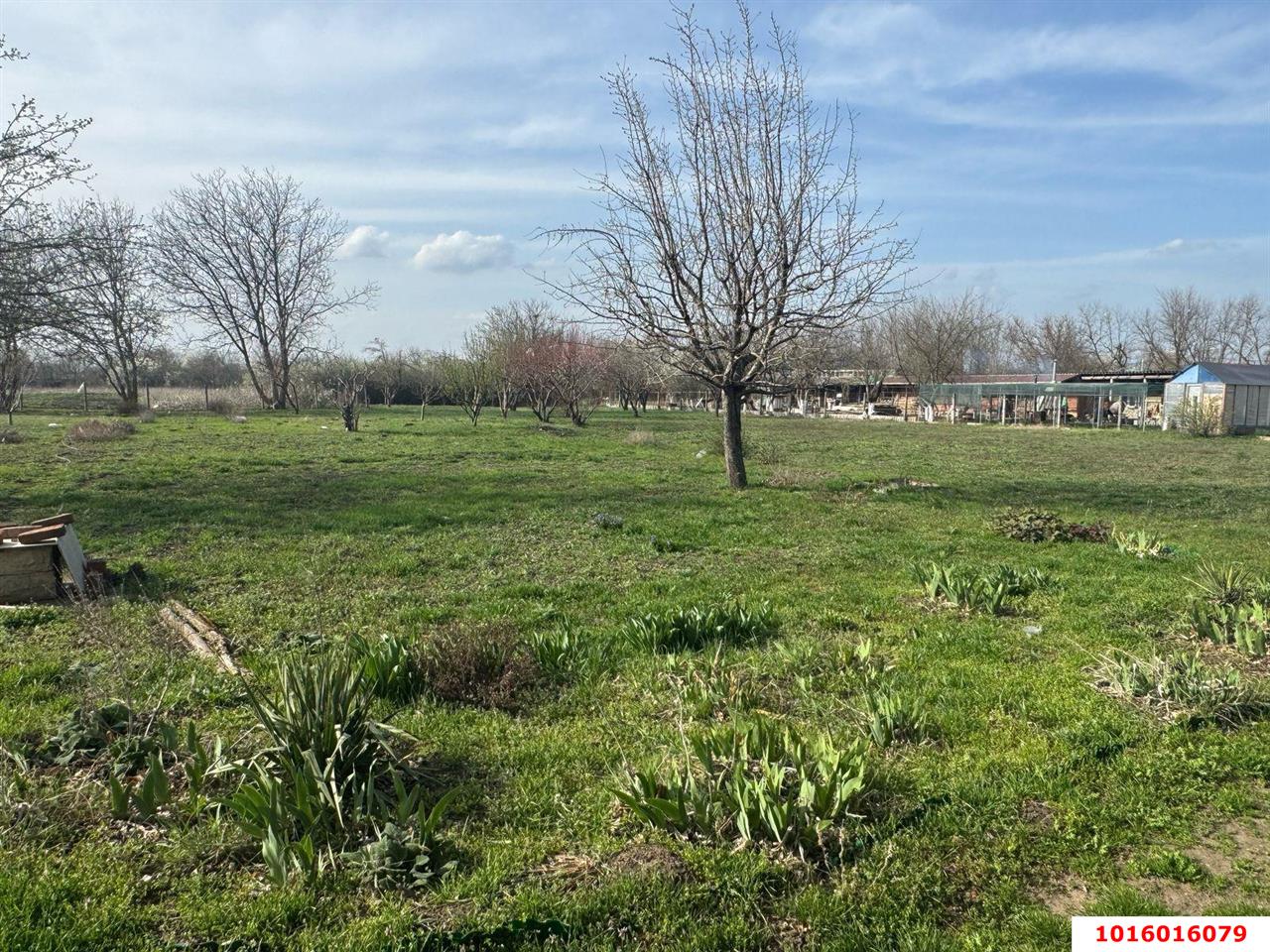 Фото №2: Земельный участок под ИЖС - Красненский, ул. Новосёлов