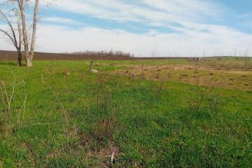 Фото №5: Земельный участок под ИЖС - Дядьковская, ул. Захарченко