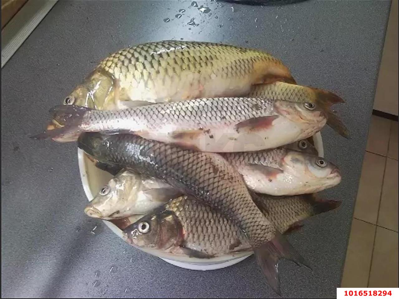 Фото №16: Земельный участок под ИЖС - Дядьковская, ул. Захарченко