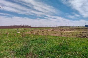 Фото №4: Земельный участок под ИЖС - Дядьковская, ул. Захарченко