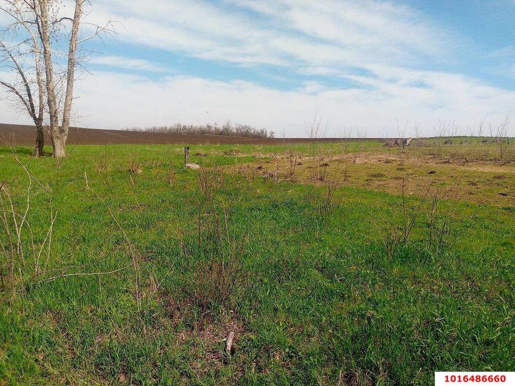 Фото №2: Земельный участок под ИЖС - Дядьковская