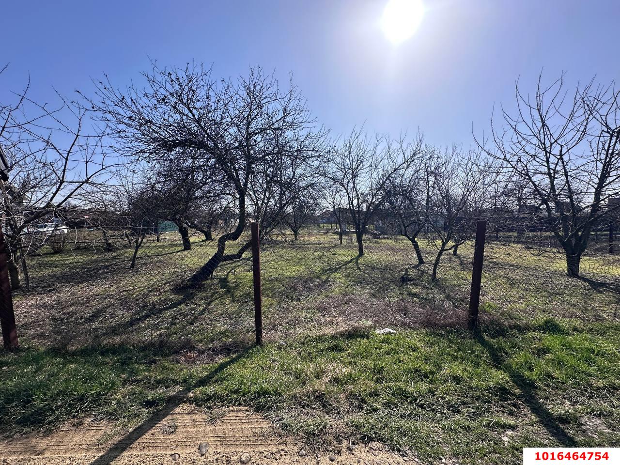 Фото №10: Личное подсобное хозяйство - НСТ Весна, мкр. Прикубанский внутригородской округ, ул. Сиреневая, 50