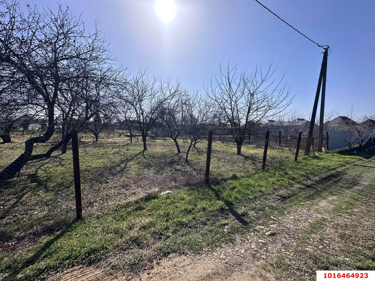 Фото №9: Личное подсобное хозяйство - НСТ Весна, мкр. Прикубанский внутригородской округ, ул. Виноградная