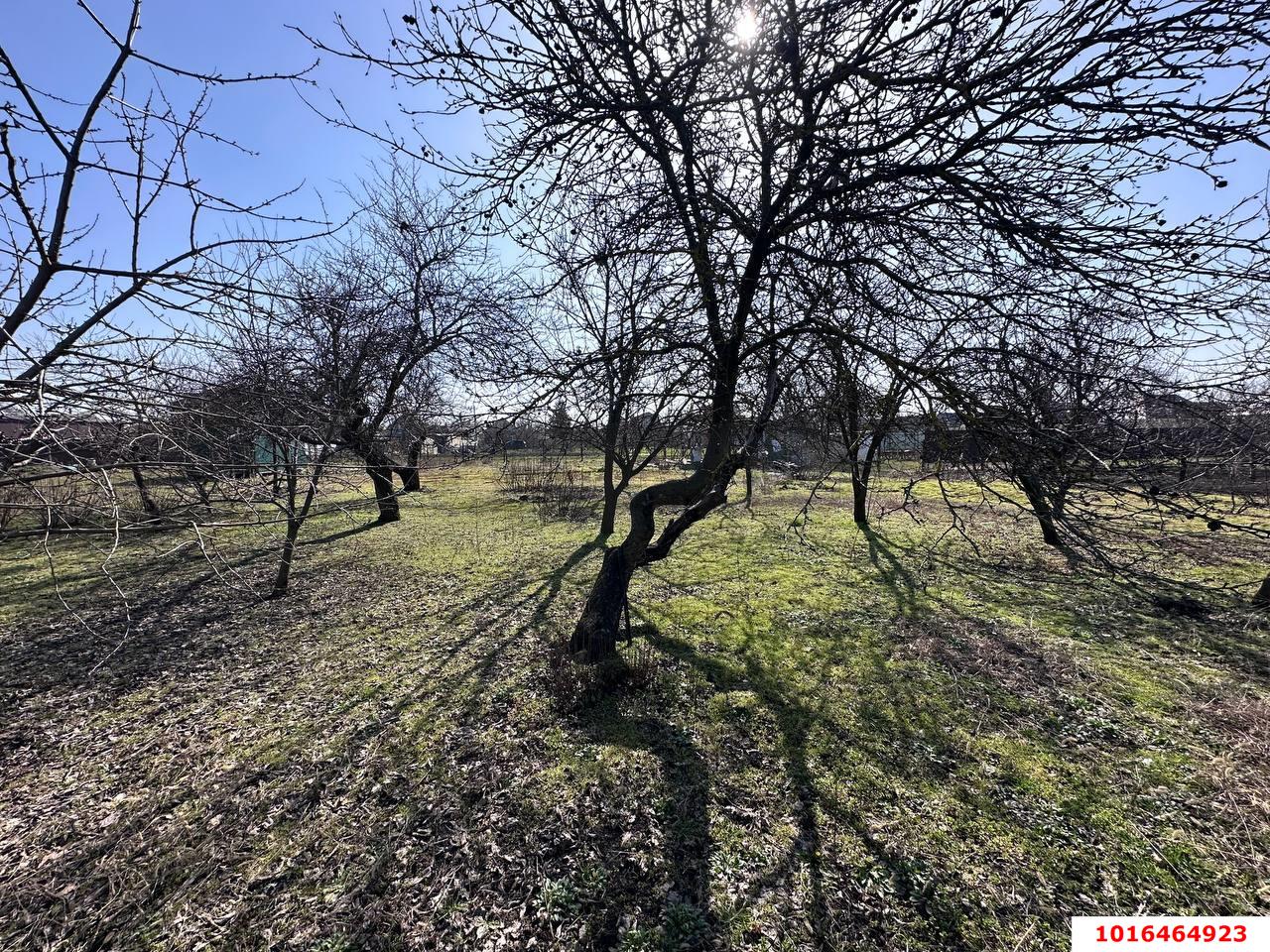 Фото №11: Личное подсобное хозяйство - НСТ Весна, мкр. Прикубанский внутригородской округ, ул. Виноградная