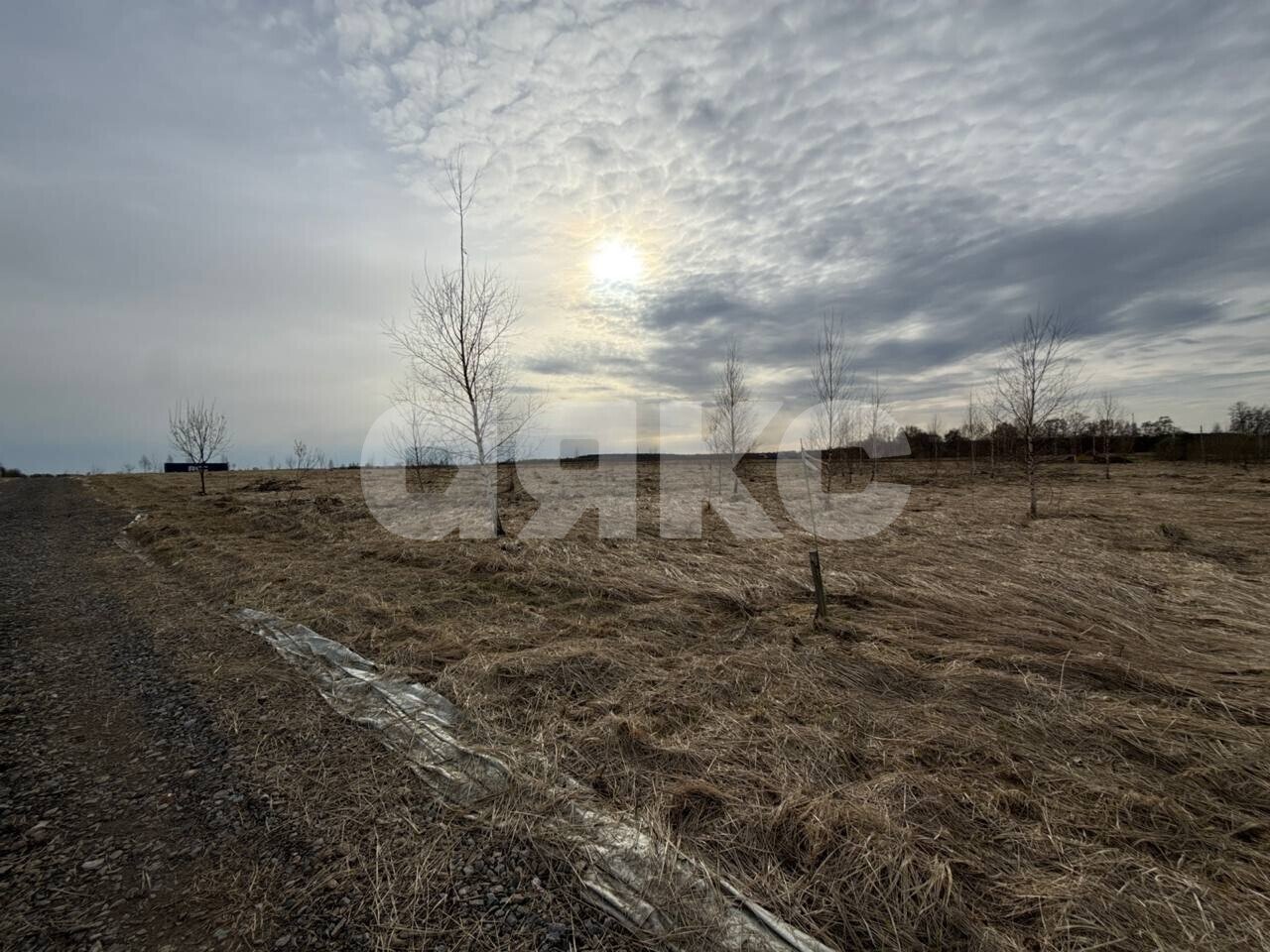 Фото №2: Земельный участок под ИЖС 2.6 сот. - Андреевка, 19