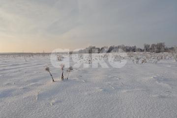 Фото №1: Земельный участок под ИЖС - Андреевка, 19