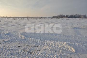 Фото №2: Земельный участок под ИЖС - Андреевка, 19