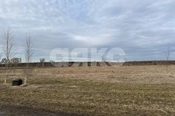 Фото №1: Земельный участок под ИЖС - Андреевка, 19