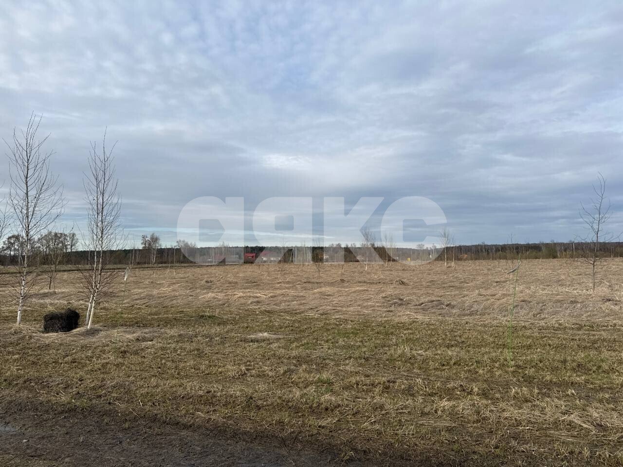 Фото №1: Земельный участок под ИЖС 2.6 сот. - Андреевка, 19