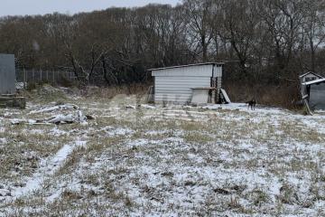 Фото №2: Личное подсобное хозяйство - Осташово, 