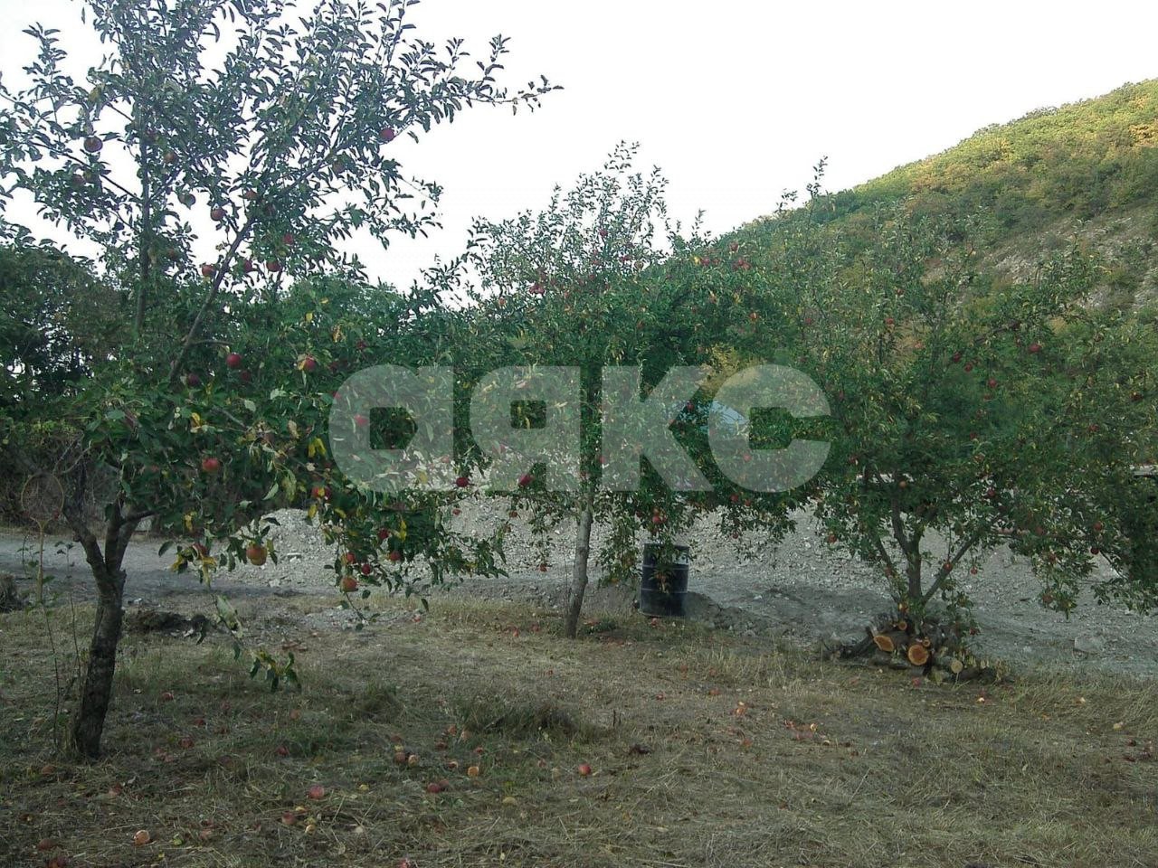 Фото №20: Дом 190 м² + 10 сот. - Геленджик, мкр. СНТ Ореховая Роща, 7