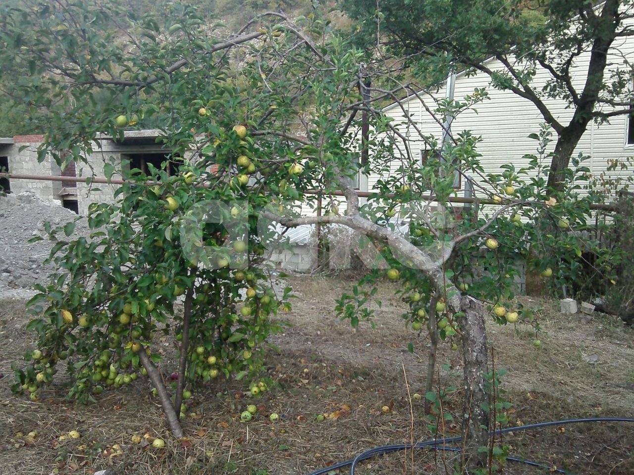 Фото №18: Дом 190 м² + 10 сот. - Геленджик, мкр. СНТ Ореховая Роща, 7