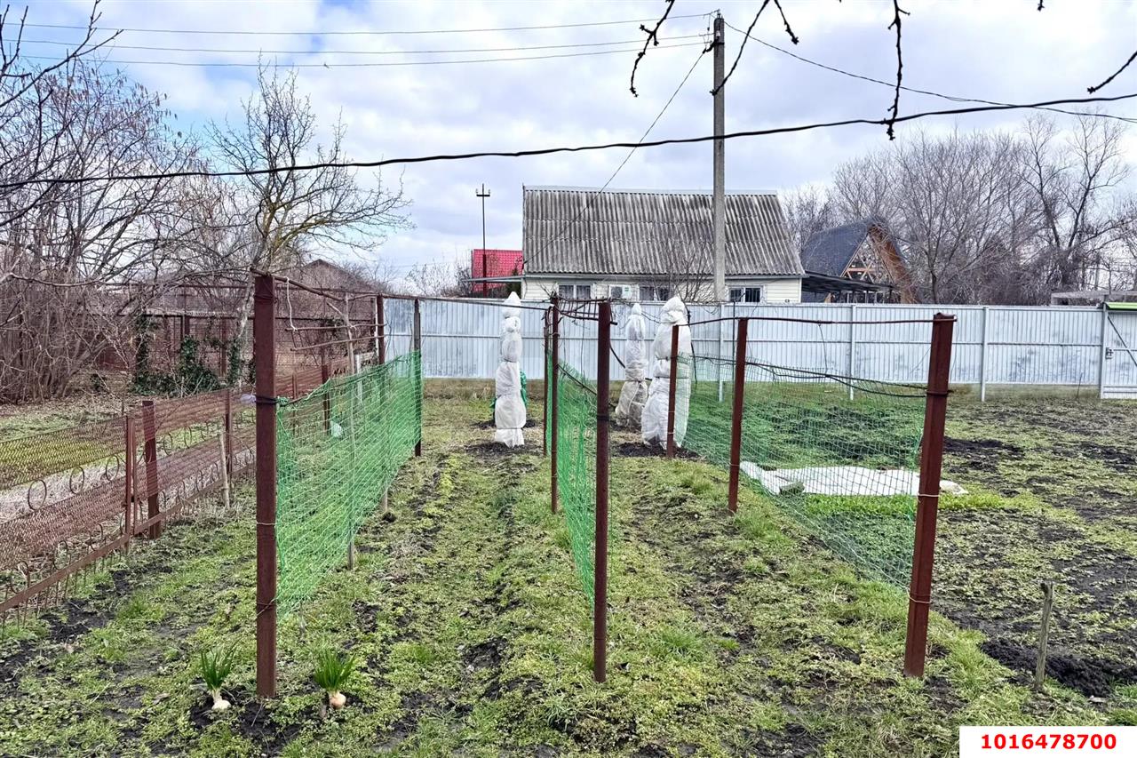 Фото №7: Земельный участок 600 сот. - Дружба, мкр. Карасунский внутригородской округ, ул. Яблоневая, 9