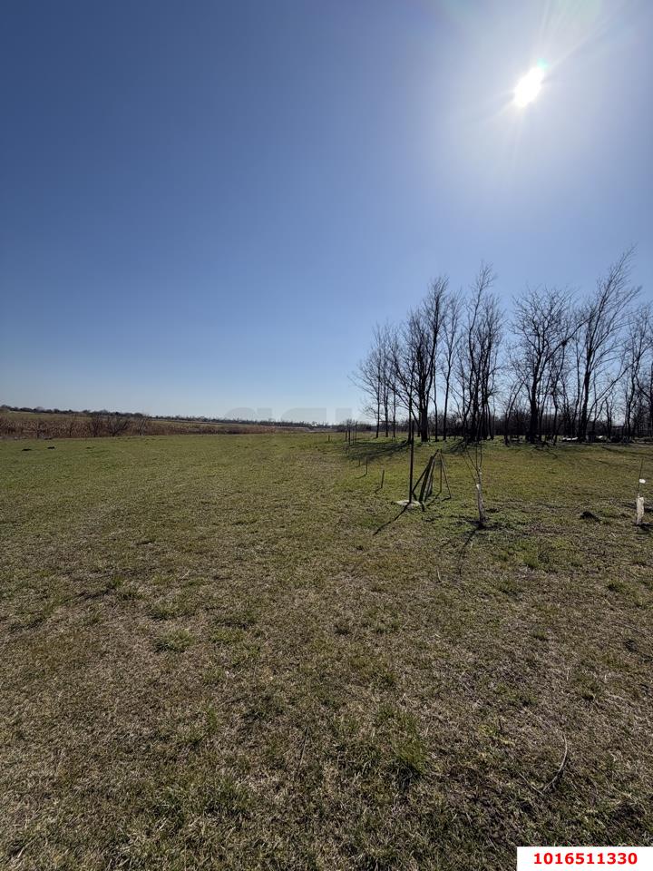 Фото №4: Земельный участок 27.3 сот. - Большевик, ул. Полевая, 8