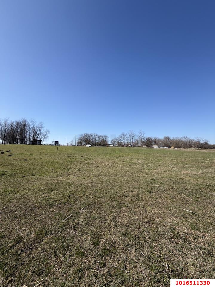 Фото №5: Земельный участок 27.3 сот. - Большевик, ул. Полевая, 8