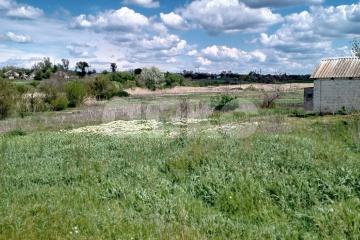 Фото №3: Дом 42 м² - Фёдоровка, ул. Центральная