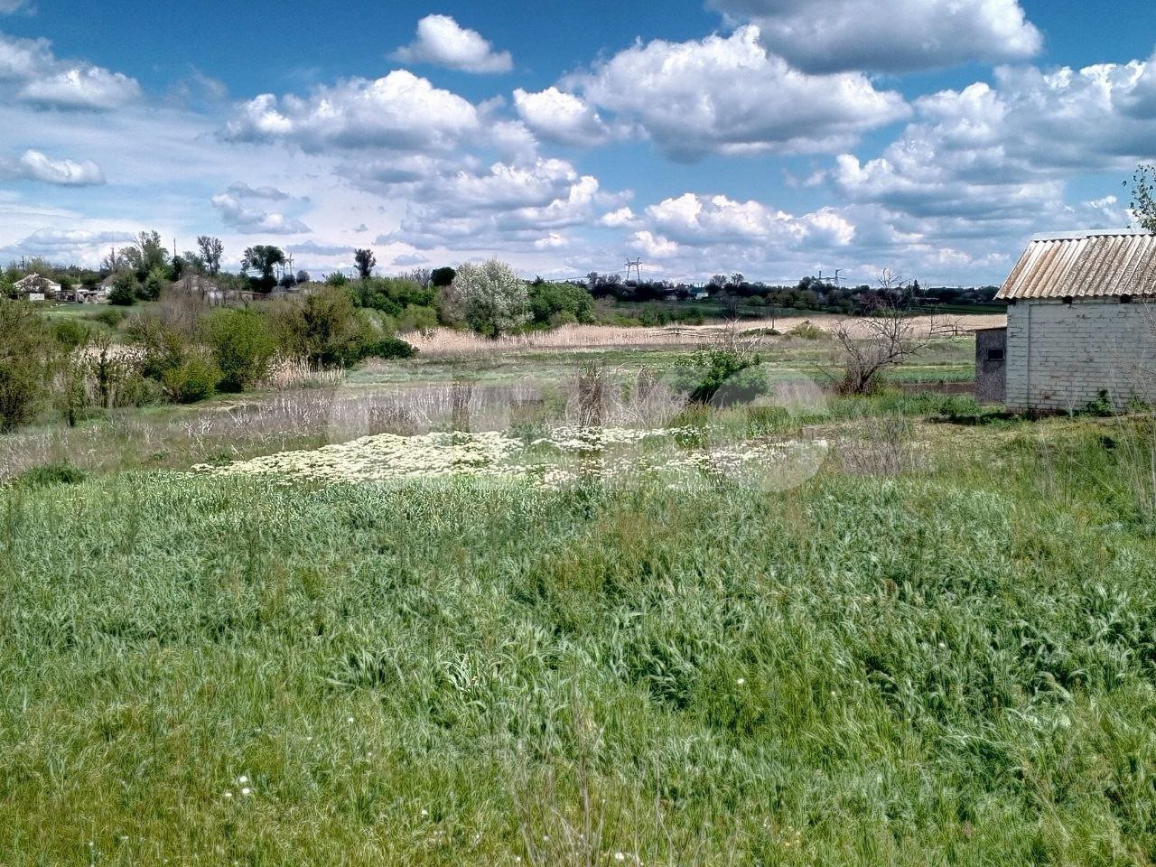 Фото №3: Дом 42 м² + 40 сот. - Фёдоровка, ул. Центральная