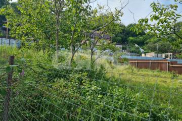 Фото №4: Личное подсобное хозяйство - Сочи, мкр. Нижняя Хобза, ул. Магнитогорская, 13/98А