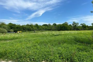 Фото №3: Земельный участок 10 сот. - Калужская, 