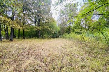 Фото №4: Земельный участок под ИЖС - Тверская, 