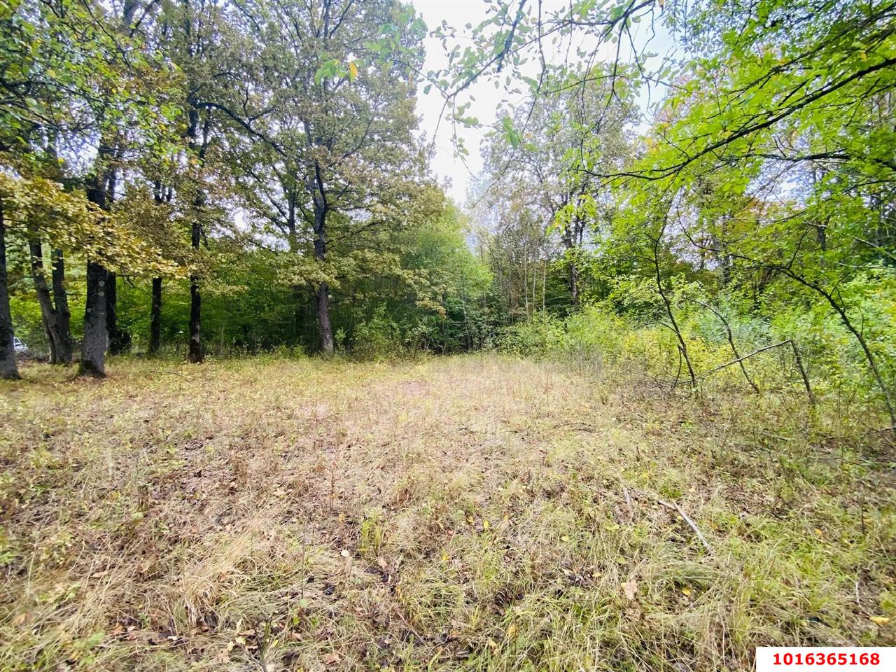 Фото №4: Земельный участок под ИЖС - Тверская