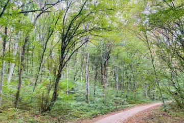 Фото №3: Земельный участок под ИЖС - Тверская, 