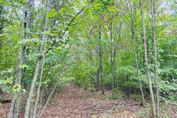 Фото №5: Земельный участок под ИЖС - Тверская, 