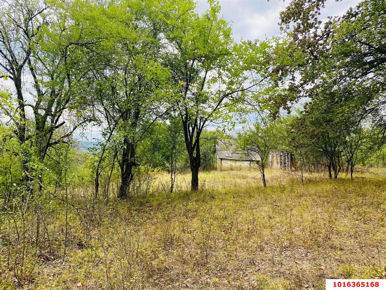 Фото №2: Земельный участок под ИЖС - Тверская