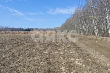 Фото №1: Участок садоводство - Раменской агрохимстанции (РАОС), 12