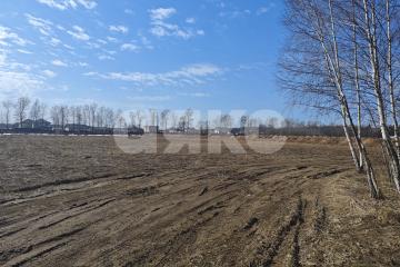 Фото №3: Участок садоводство - Раменской агрохимстанции (РАОС), 12