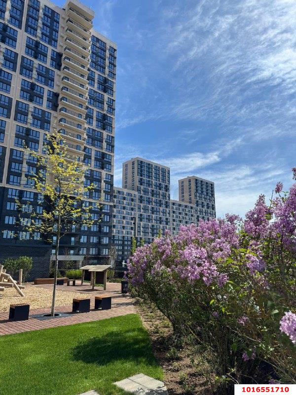 Фото №12: 1-комнатная квартира 44 м² - Краснодар, Центральный внутригородской округ, мкр. Черёмушки, ул. Обрывная, 132/1к8