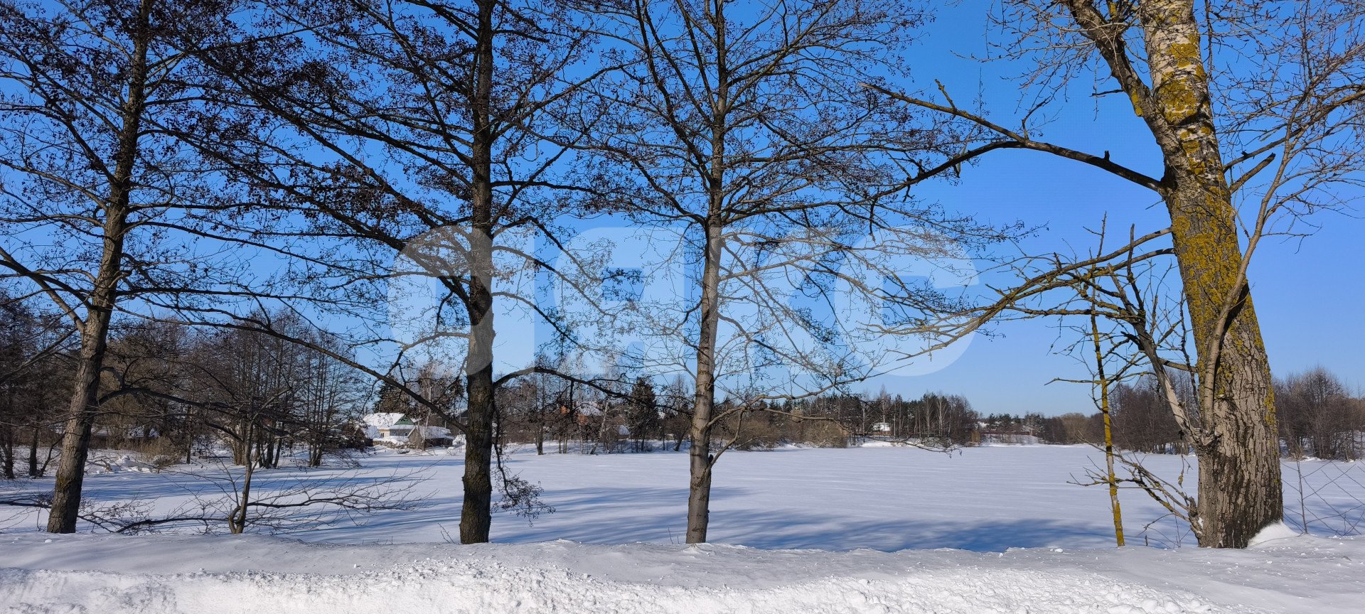 Фото №5: Личное подсобное хозяйство 17.5 сот. - Карпово, ул. Каштановая
