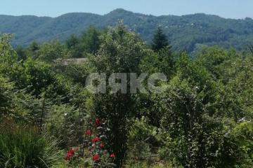 Фото №2: Участок садоводство - Пластунка, счт Заря-Пластунка, 28