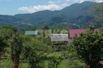 Фото №3: Участок садоводство - Пластунка, счт Заря-Пластунка, 28