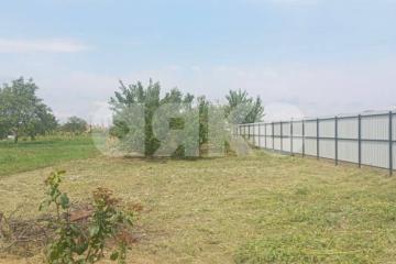 Фото №1: Личное подсобное хозяйство - Платнировская, ул. Фрунзе, 103А