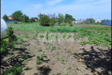 Фото №5: Личное подсобное хозяйство - Платнировская, ул. Фрунзе, 103А