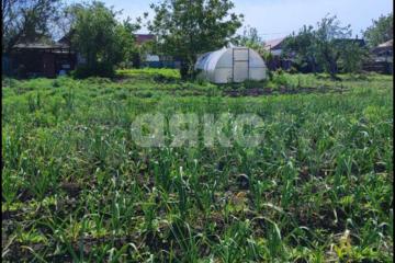 Фото №4: Личное подсобное хозяйство - Платнировская, ул. Фрунзе, 103А