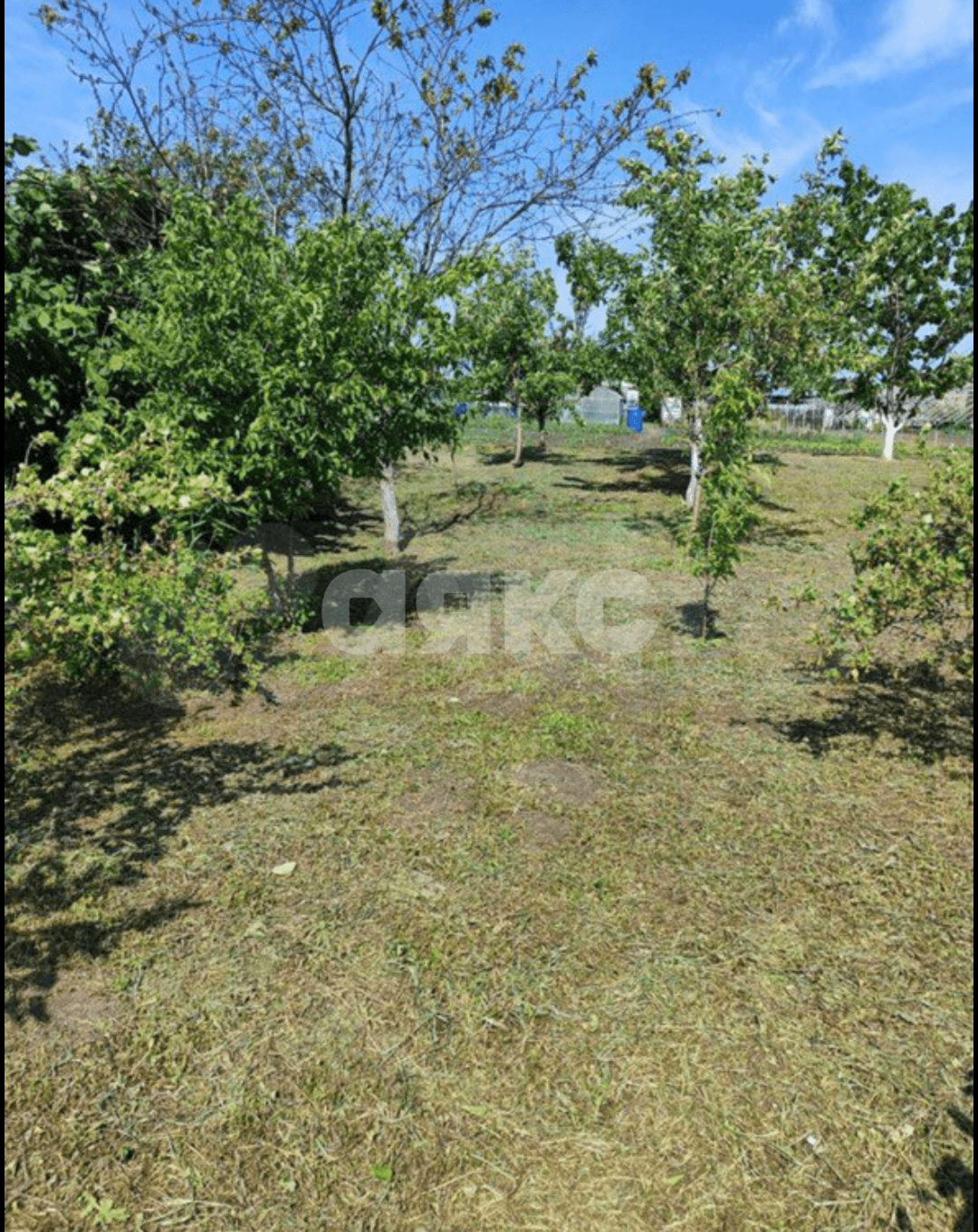 Фото №6: Личное подсобное хозяйство 9.36 сот. - Платнировская, ул. Фрунзе, 103А