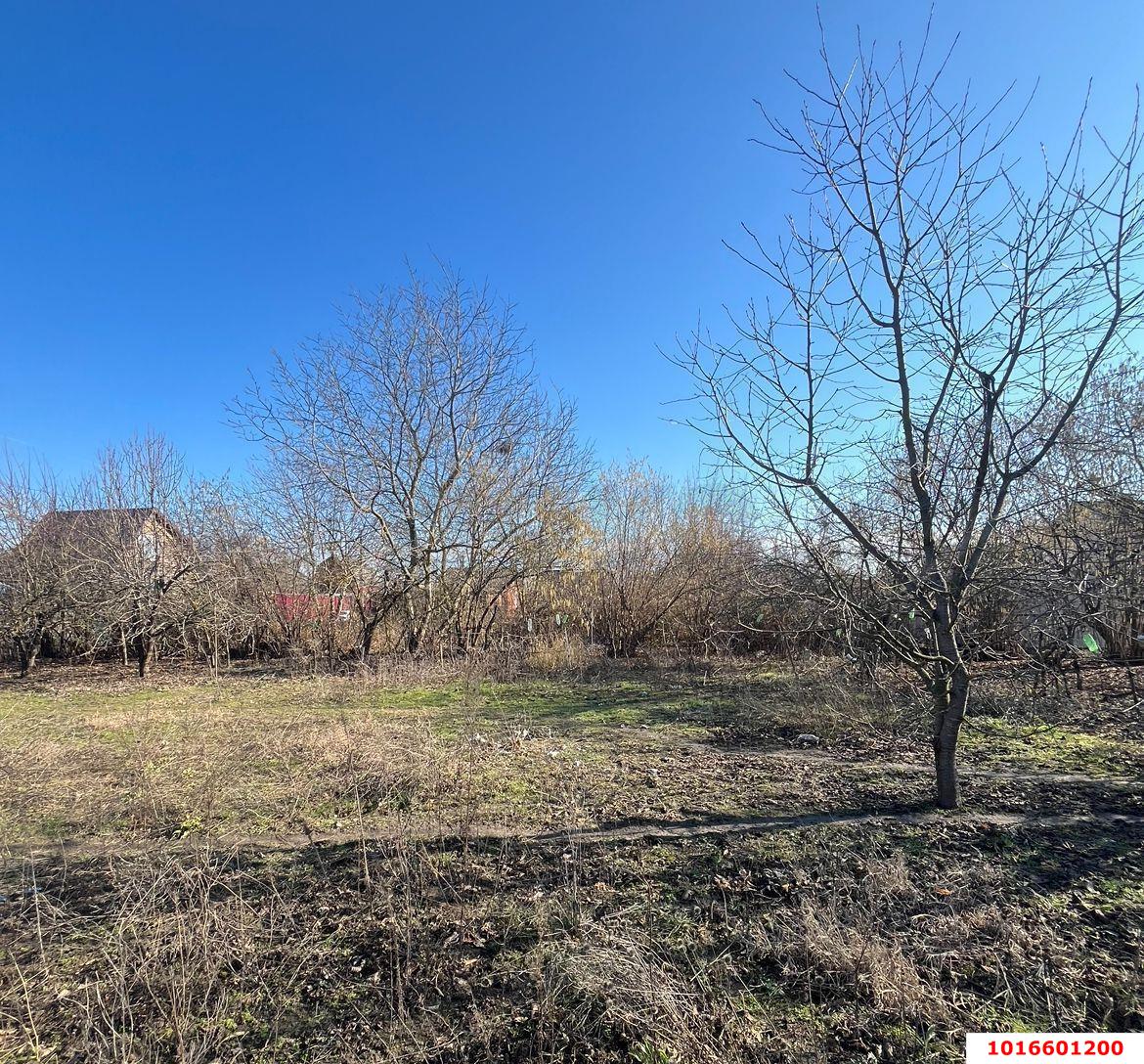 Фото №2: Личное подсобное хозяйство - № 2 АО ЮГТЕКС, мкр. Прикубанский внутригородской округ, ул. Вишнёвая, 36