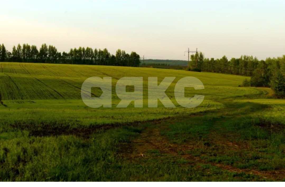 Фото №1: Коммерческая земля 6.5 сот. - Красная Поляна, ул. Матросова