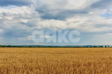 Фото №2: Коммерческая земля - Красная Поляна, ул. Матросова