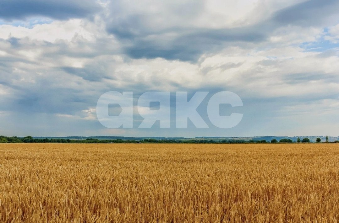 Фото №2: Коммерческая земля 6.5 сот. - Красная Поляна, ул. Матросова