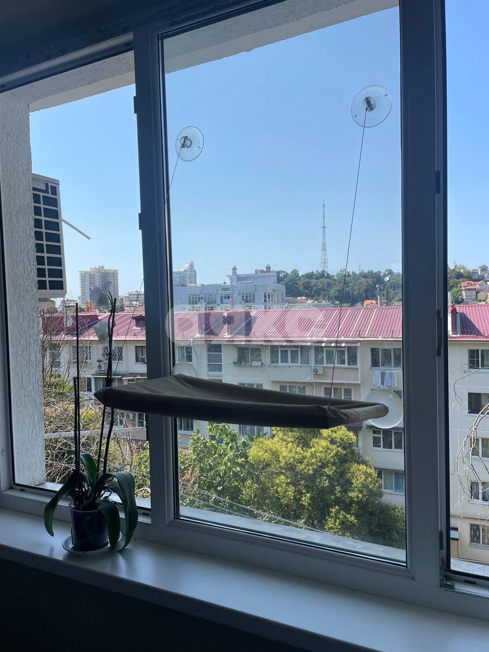 Фото №25: 2-комнатная квартира 48 м² - Сочи, Хостинский, мкр. Светлана, ул. Учительская, 28
